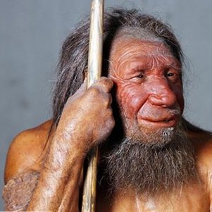IMBR-00228365-001-Interesting Facts About DNA