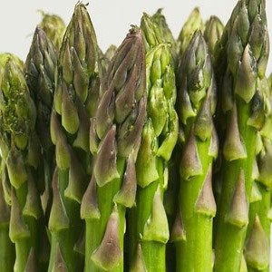 Fresh Asparagus ca. 2003