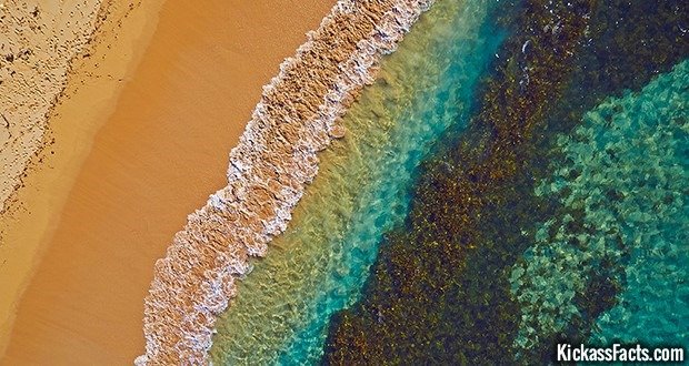 04 Manly Beach