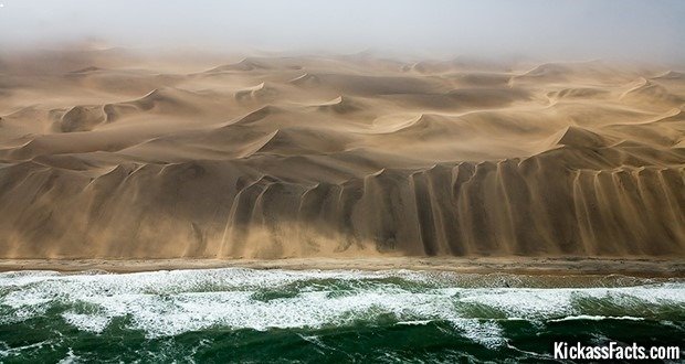 05 Skeleton Coast