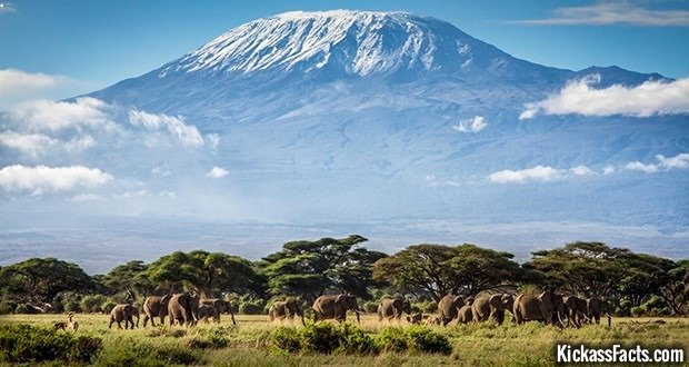 06 Mt. Kilimanjaro