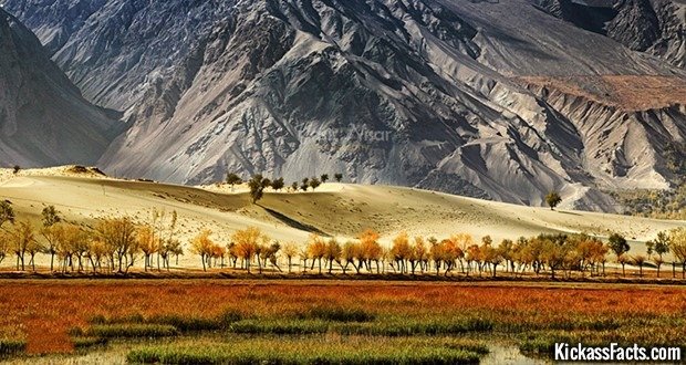 07 Shigar, Skardu