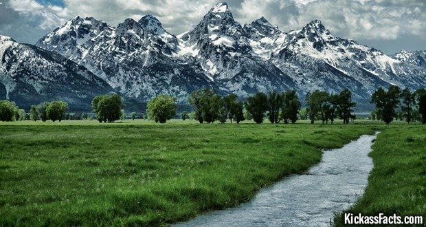 09 Mormon Row Meadow