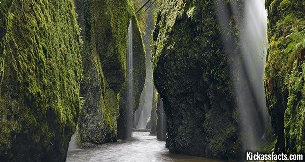 10 Oneonta Gorge